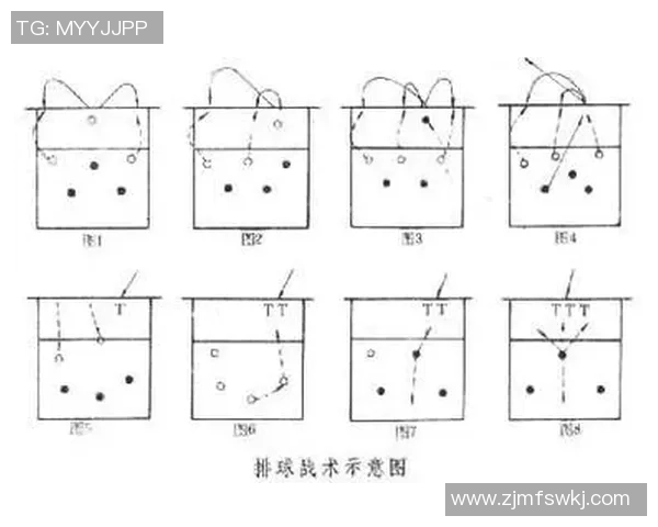 广州排球队反击战术分析与赛季表现的得失评估 广州排球队反击战术分析与赛季表现的得失评估