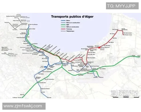 杭州排球队的战术解析与控制技巧深度探讨