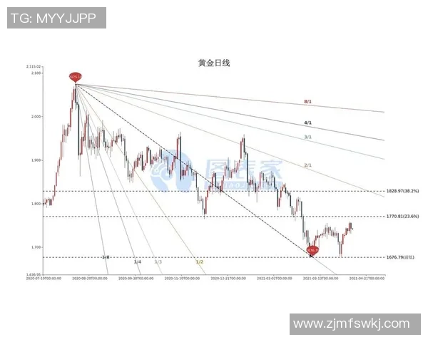 深度分析西安排球队的阵地战战术与执行策略解析